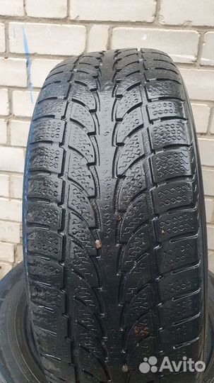 Nokian Tyres WR 225/60 R17 91V