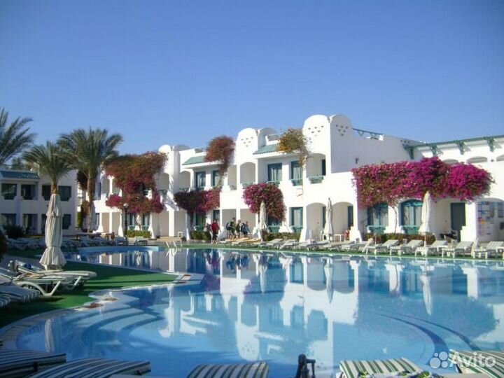 Туры в Египет на декабрь на 10-14 ночей