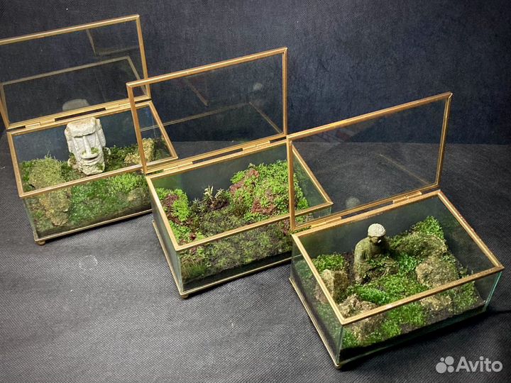 Изготовление флорариума, террариума на заказ