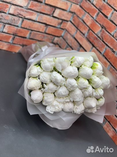 Пионы цветы