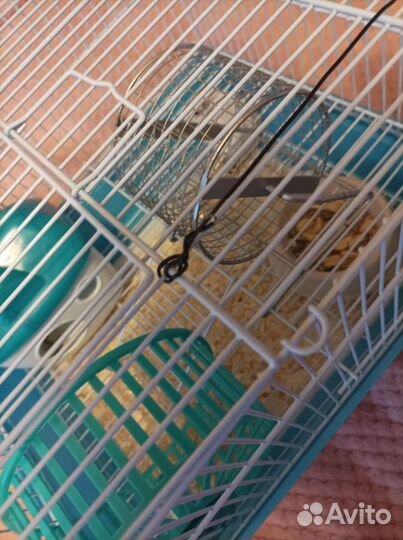 Джунгарский хомяк с клеткой