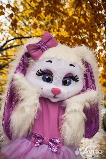 Экспресс-поздравление. Ростовая кукла. Зайка