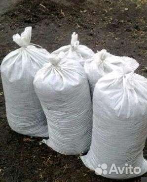 Конский Навоз. П. Матросы