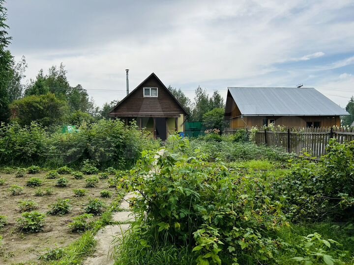 Дача 50 м² на участке 8,2 сот.