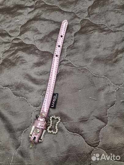 Одежда для собак