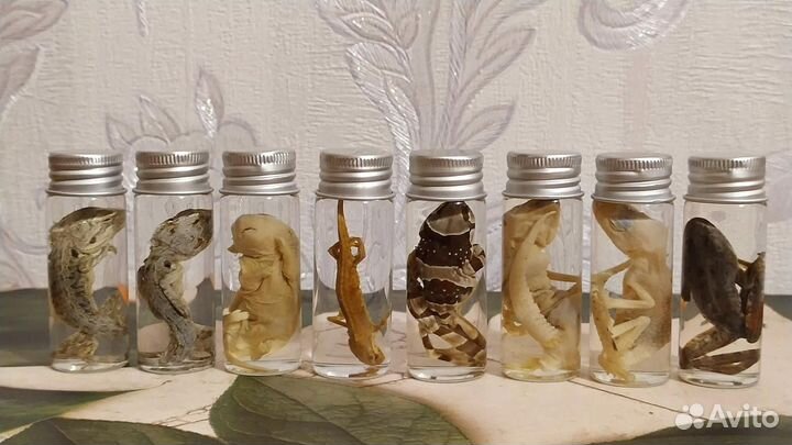 Заспиртовки