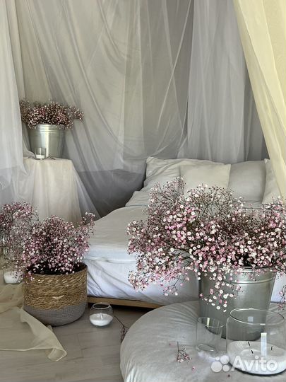 Готовый бизнес Фотостудия