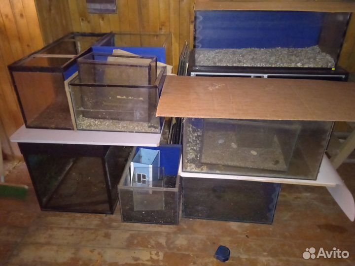 Аквариумы. Много