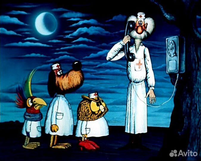 Ветеринарный врач. Плановые операции на дому