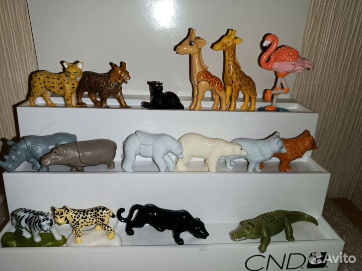 Киндер животные