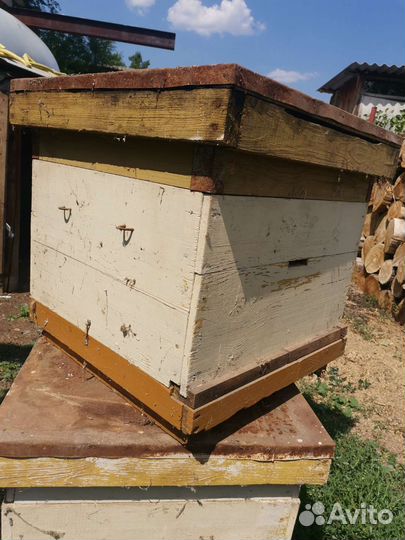 Ульи для пчел бу