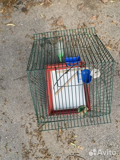 Клетка для попугая