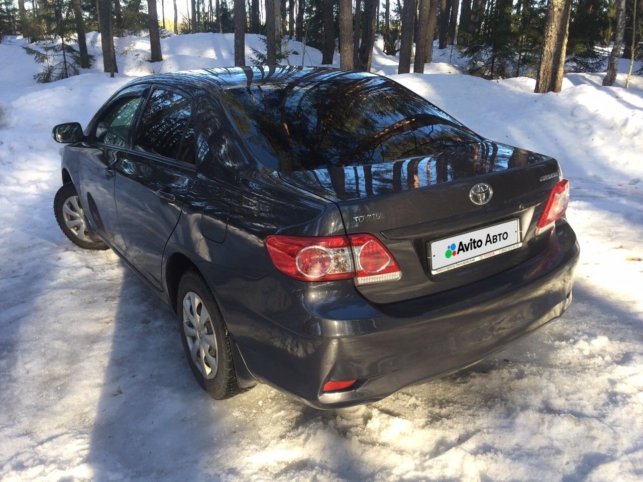 Toyota Corolla: фото владельца