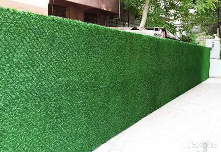 Зеленый забор (калифорнийская изгородь)