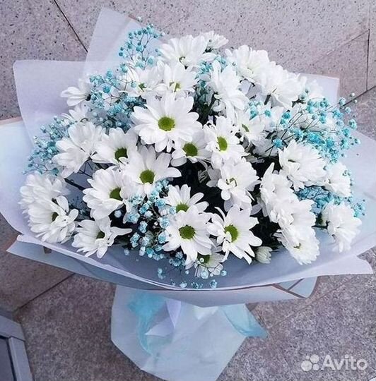 Доставка букетов и цветов. Хризантема