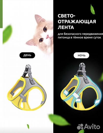 Шлейка с поводком