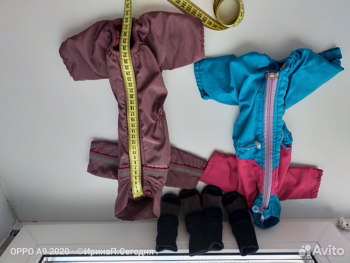 Одежда и обувь для собак