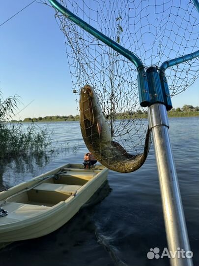 Рыбалка в астраханской области