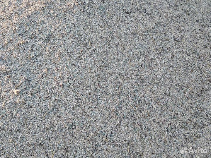 Зерноотходы