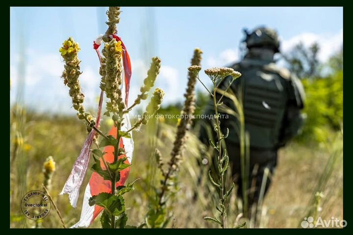 Миноискатель / Металлоискатель Alfamarine 5000