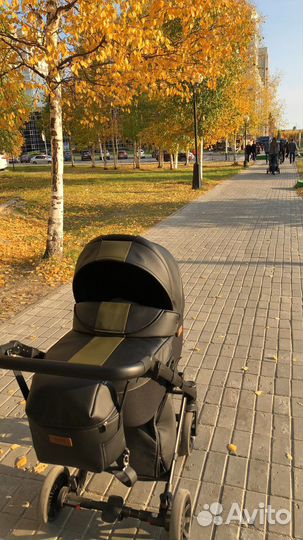 Коляска anex cross 3 в 1