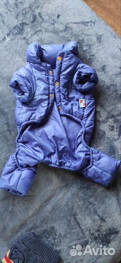 Вещи для маленьких собак