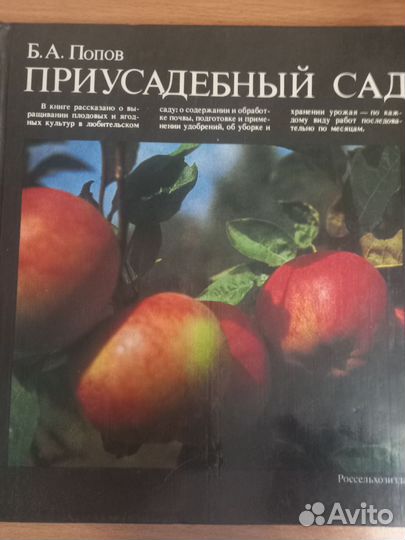 Книга