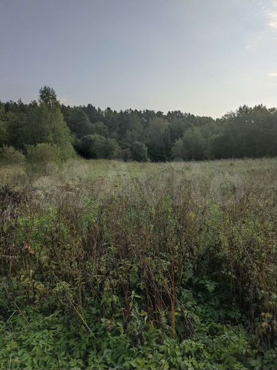 Участок 60 сот. (ИЖС)