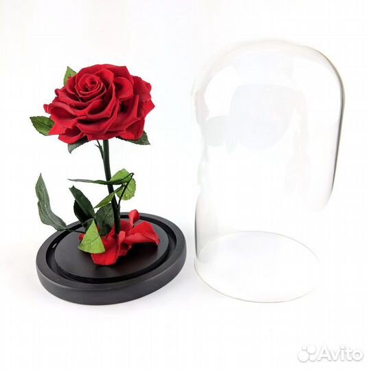 Роза В колбе премиум
