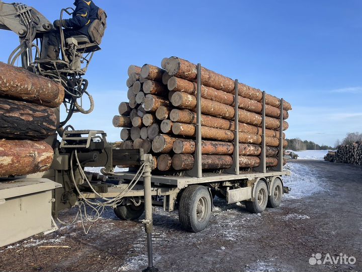 Лес круглык пиловочник