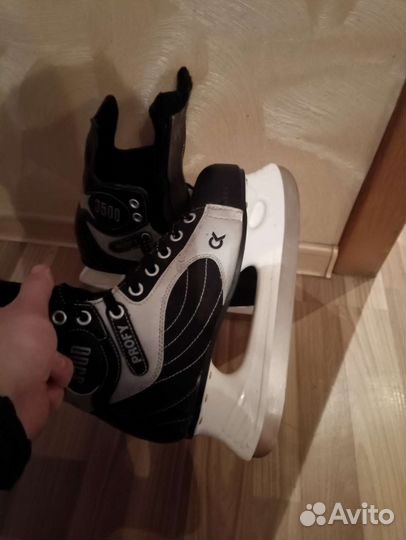 Коньки
