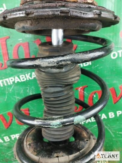 Стойка передняя левая nissan teana