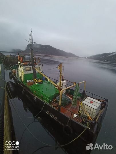 Морская рыбалка териберка