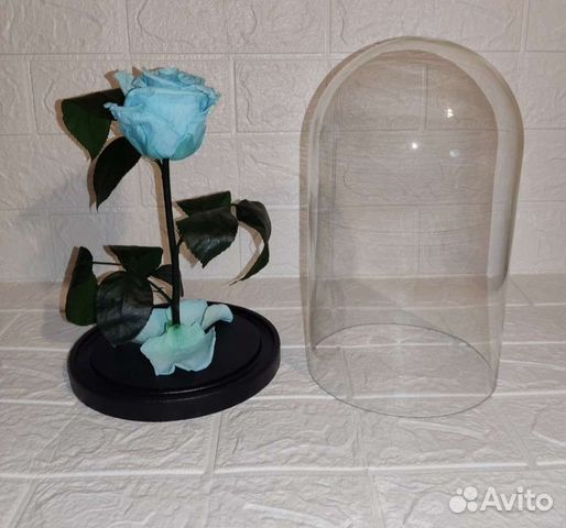 Живая роза в колбе premium