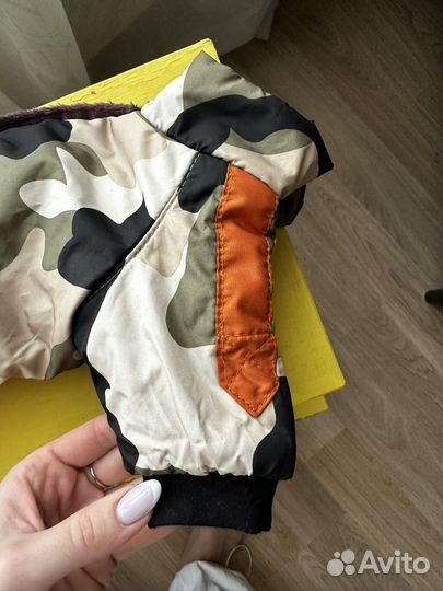 Зимний комбинезон для кроличьей таксы