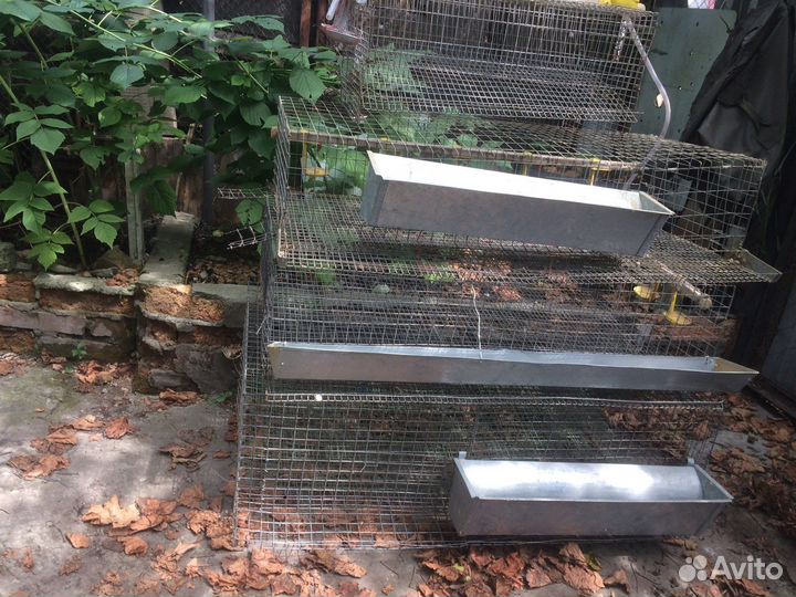 Клетки для перепелов бу