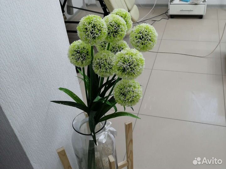 Интерьерные цветы