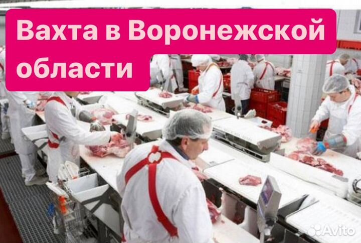 Купим билет.Сотрудники производства вахтой