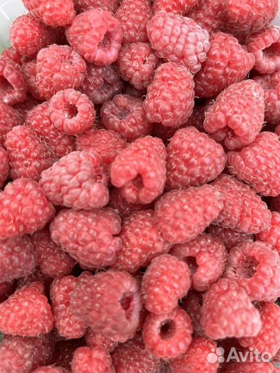 Малина, смородина