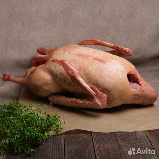 Домашние утки,бройлеры, петушки молодые, перепелуи