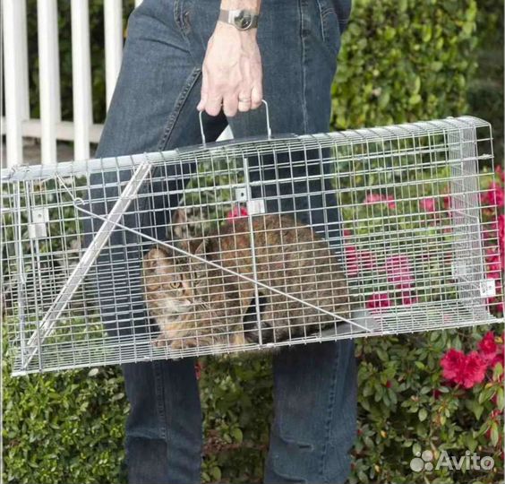 Клетка-кошколовка