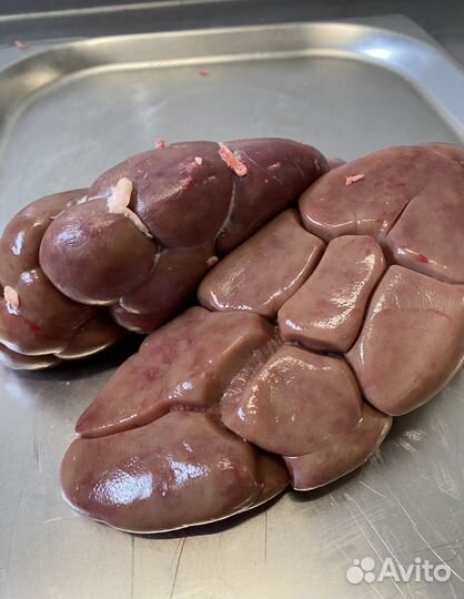 Ливер свиной и говяжий,супродукты,мясо