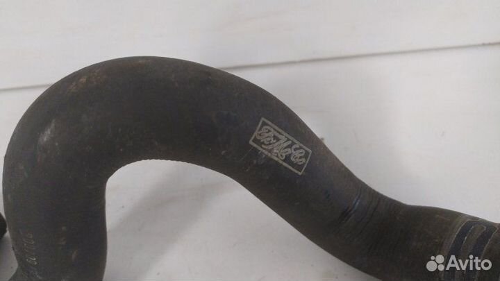 Патрубок радиатора нижний Ford Focus 2