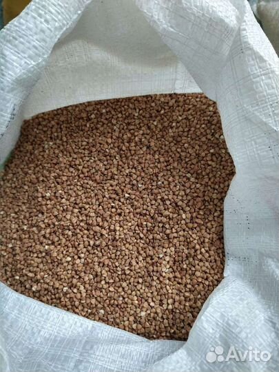 Гречка 50 кг