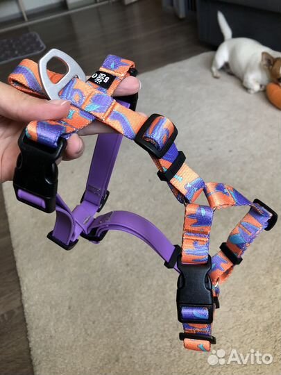 Шлейка анатомическая Brrro