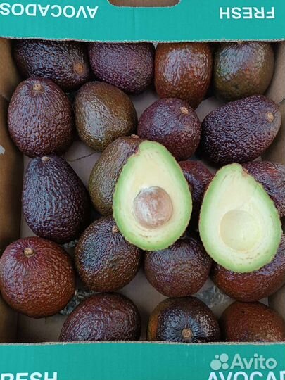 Авокадо Хасс