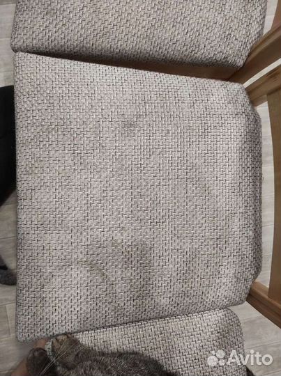 Аренда моющего пылесоса