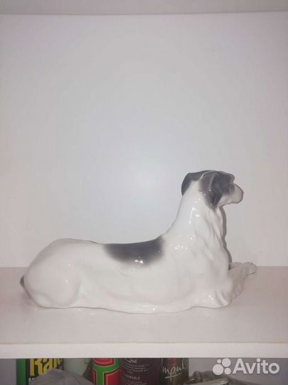 Русская борзая, Германия, не Rosenthal