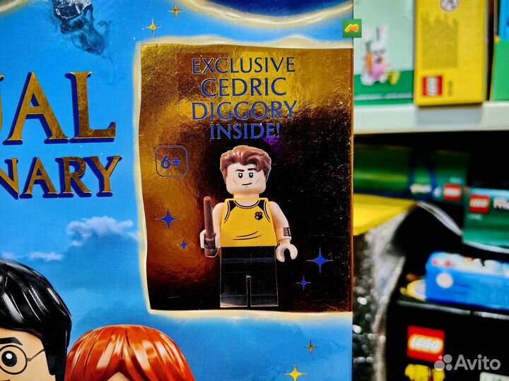 Книга Гарри Поттер Visual Dictionary c Седриком Ди