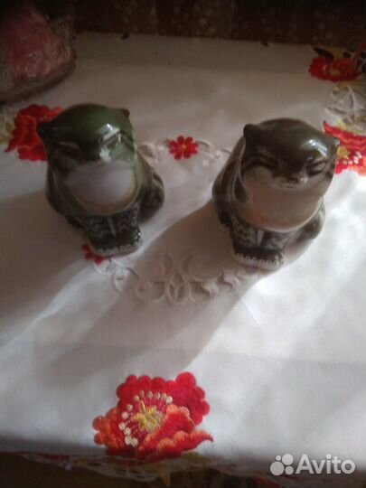 Дикий кот и кошка